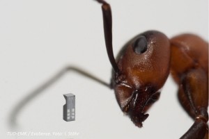 Fotografie eines Mikro-Kraftvektorsensors vor einer Ameise